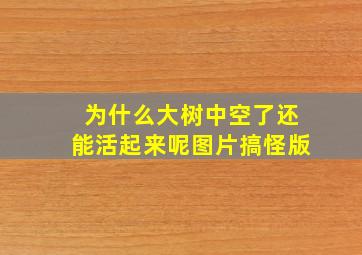 为什么大树中空了还能活起来呢图片搞怪版