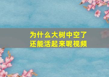 为什么大树中空了还能活起来呢视频