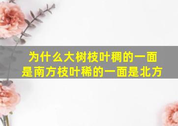 为什么大树枝叶稠的一面是南方枝叶稀的一面是北方