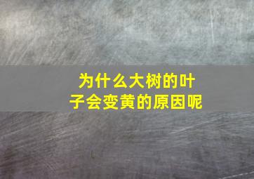 为什么大树的叶子会变黄的原因呢