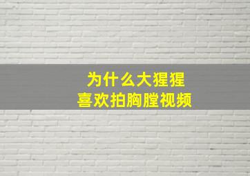 为什么大猩猩喜欢拍胸膛视频