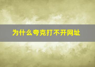 为什么夸克打不开网址