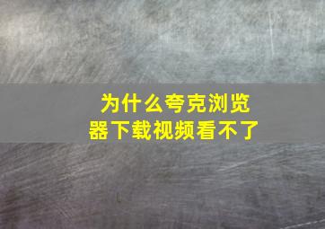 为什么夸克浏览器下载视频看不了