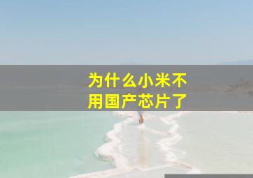 为什么小米不用国产芯片了