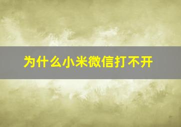 为什么小米微信打不开