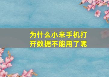 为什么小米手机打开数据不能用了呢