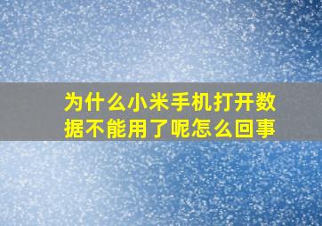 为什么小米手机打开数据不能用了呢怎么回事