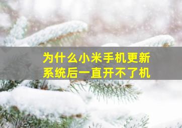 为什么小米手机更新系统后一直开不了机