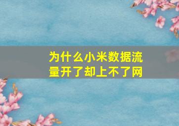 为什么小米数据流量开了却上不了网