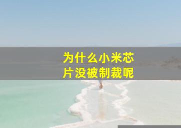 为什么小米芯片没被制裁呢