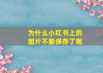 为什么小红书上的图片不能保存了呢