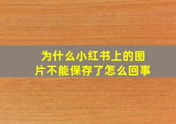 为什么小红书上的图片不能保存了怎么回事