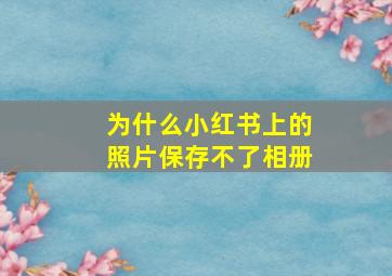 为什么小红书上的照片保存不了相册