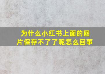 为什么小红书上面的图片保存不了了呢怎么回事