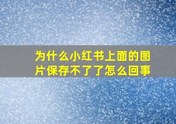 为什么小红书上面的图片保存不了了怎么回事