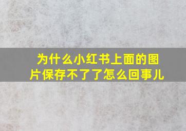 为什么小红书上面的图片保存不了了怎么回事儿