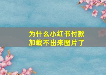 为什么小红书付款加载不出来图片了