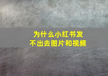 为什么小红书发不出去图片和视频