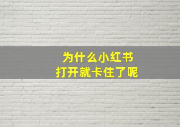 为什么小红书打开就卡住了呢