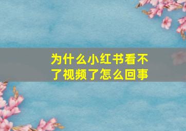 为什么小红书看不了视频了怎么回事