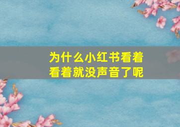 为什么小红书看着看着就没声音了呢