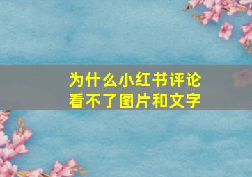 为什么小红书评论看不了图片和文字