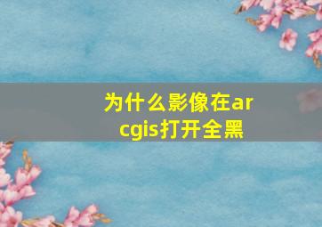 为什么影像在arcgis打开全黑