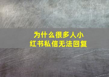 为什么很多人小红书私信无法回复