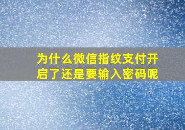 为什么微信指纹支付开启了还是要输入密码呢