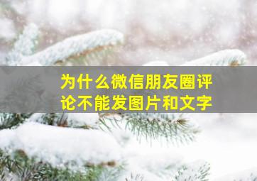 为什么微信朋友圈评论不能发图片和文字