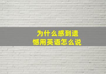 为什么感到遗憾用英语怎么说