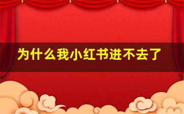 为什么我小红书进不去了