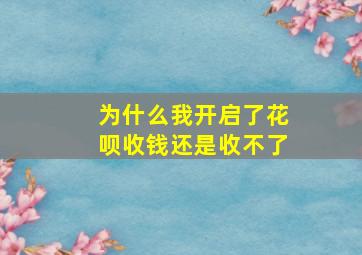 为什么我开启了花呗收钱还是收不了