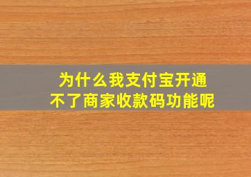 为什么我支付宝开通不了商家收款码功能呢