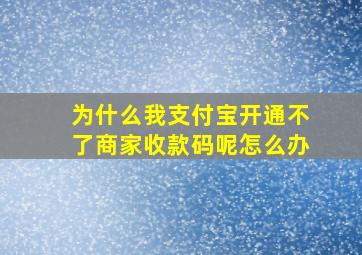 为什么我支付宝开通不了商家收款码呢怎么办