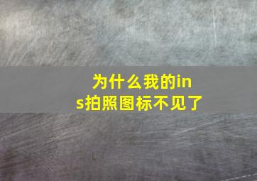 为什么我的ins拍照图标不见了