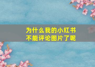 为什么我的小红书不能评论图片了呢