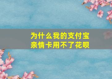 为什么我的支付宝亲情卡用不了花呗