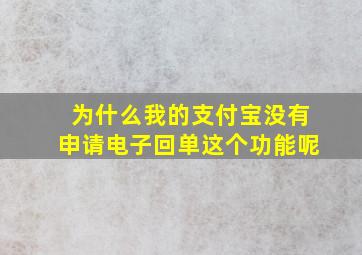 为什么我的支付宝没有申请电子回单这个功能呢