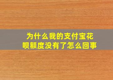 为什么我的支付宝花呗额度没有了怎么回事