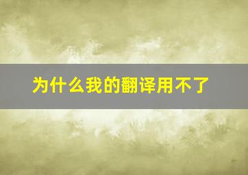 为什么我的翻译用不了