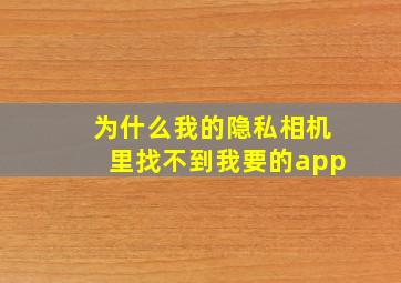 为什么我的隐私相机里找不到我要的app