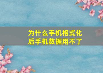 为什么手机格式化后手机数据用不了