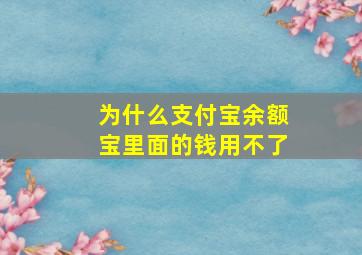 为什么支付宝余额宝里面的钱用不了