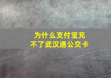 为什么支付宝充不了武汉通公交卡