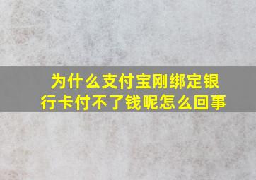 为什么支付宝刚绑定银行卡付不了钱呢怎么回事