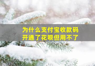 为什么支付宝收款码开通了花呗但用不了