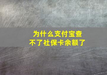 为什么支付宝查不了社保卡余额了