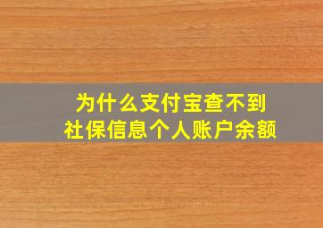 为什么支付宝查不到社保信息个人账户余额