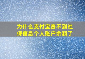 为什么支付宝查不到社保信息个人账户余额了